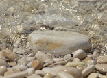 Metairie Asian Therapeutics - Image 4