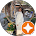 Lotus Massage - Image 3