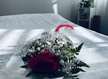 Spiritual Spa Massage Therapy - Image 4