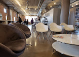 Oasis Wellness Spa - Image 5